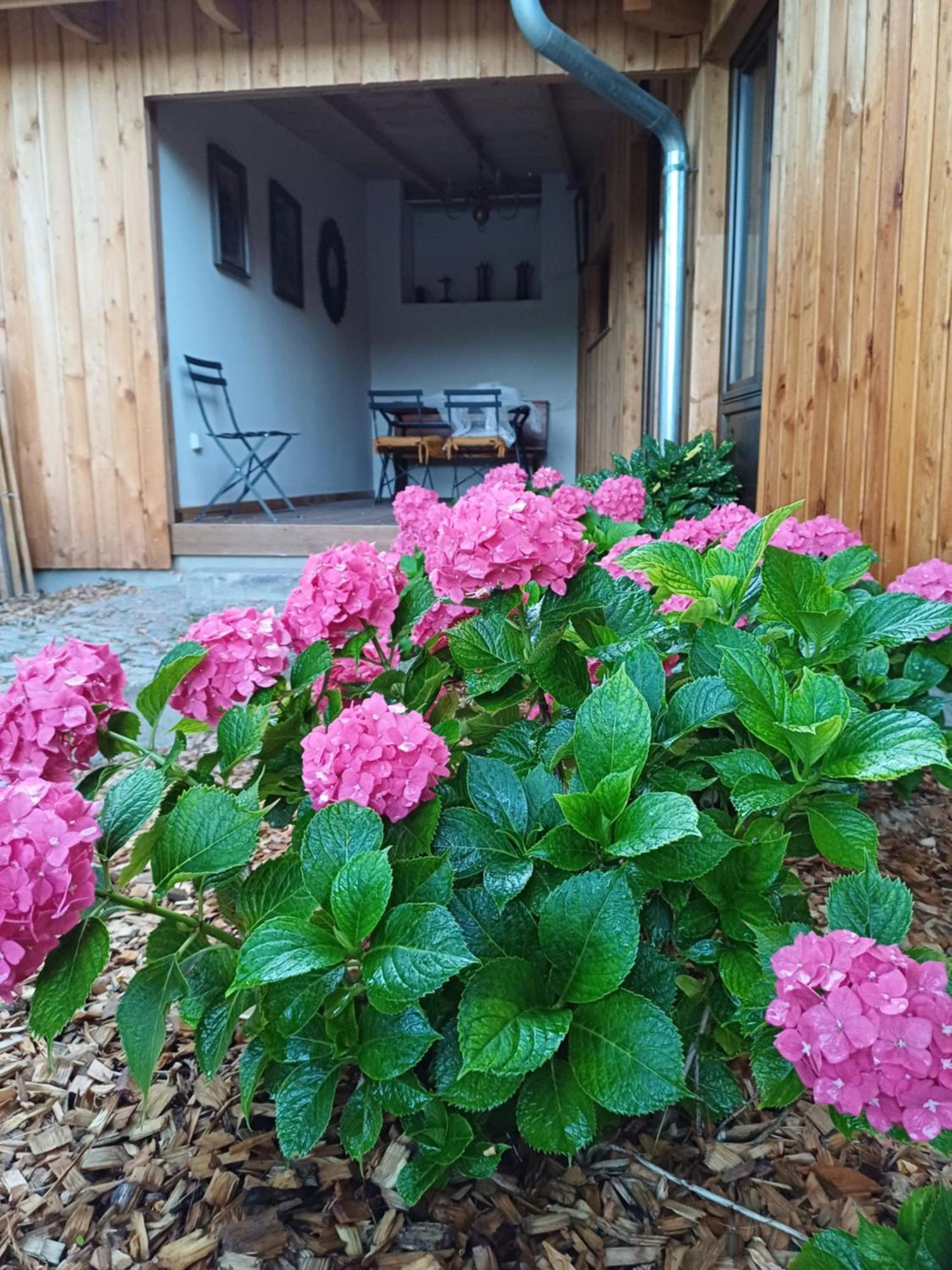 Les Cottages Du Chateau De Werde Matzenheim Exterior foto