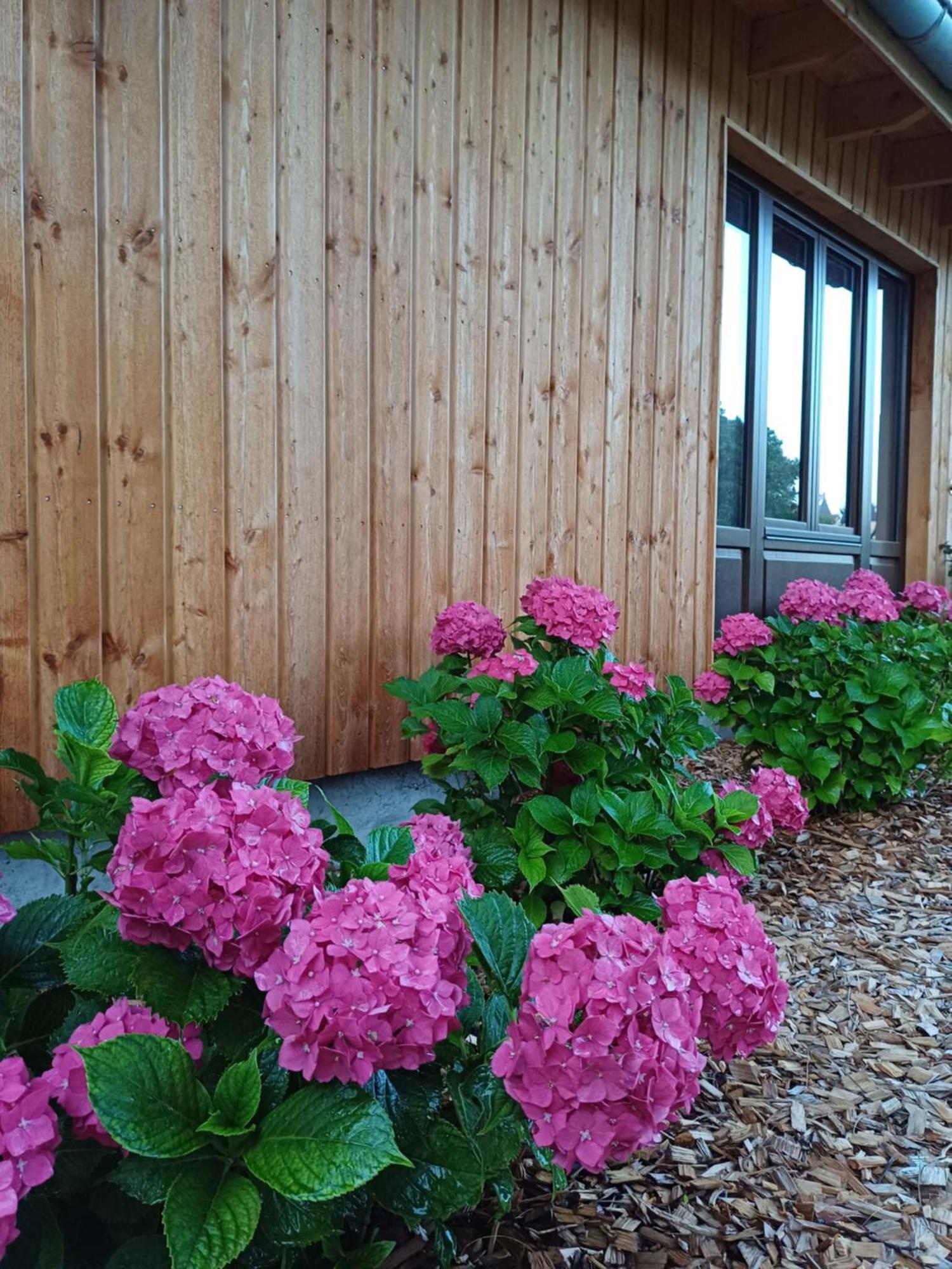 Les Cottages Du Chateau De Werde Matzenheim Exterior foto
